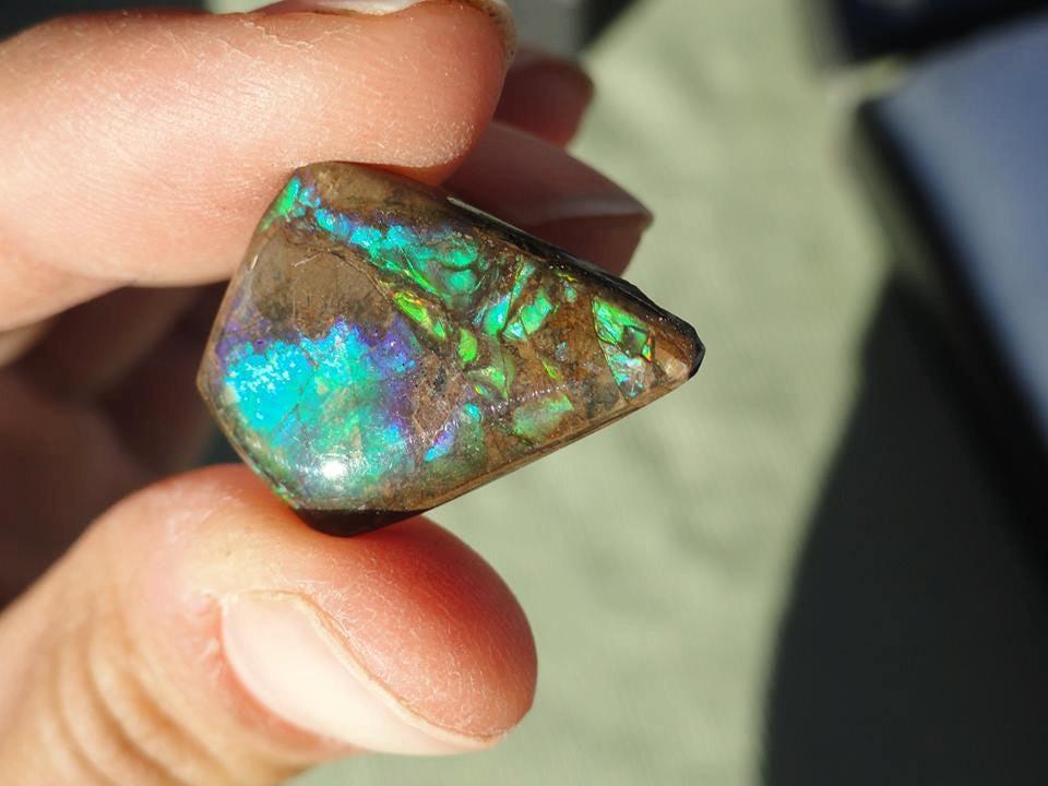 Amazing Rare Blue & Green AMMOLITE CABOCHON From Canada* - Earth Family Crystals