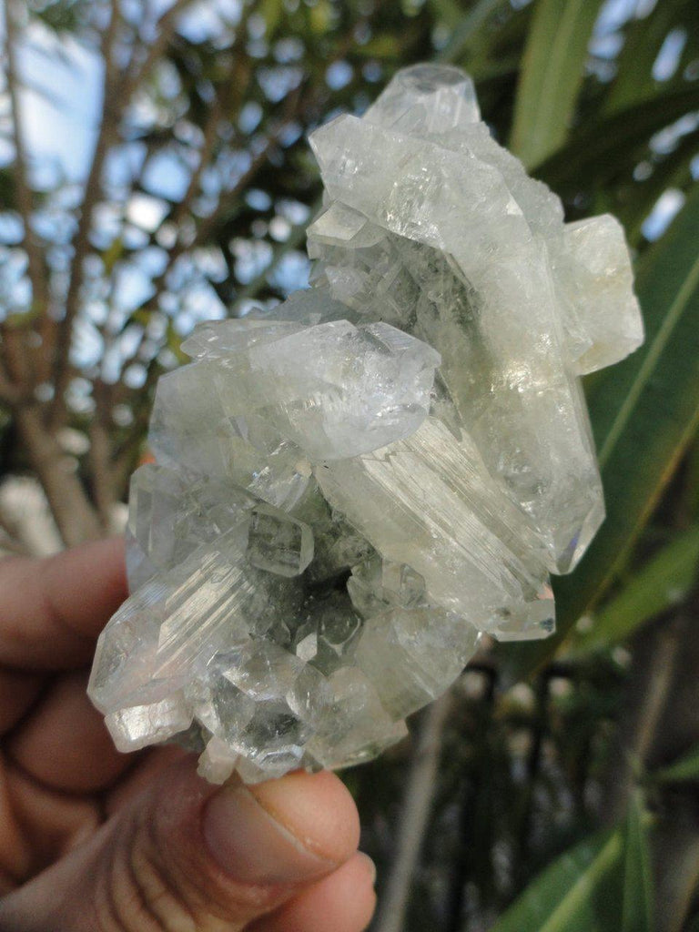 Sparkly CLEAR APOPHYLLITE CLUSTER* - Earth Family Crystals