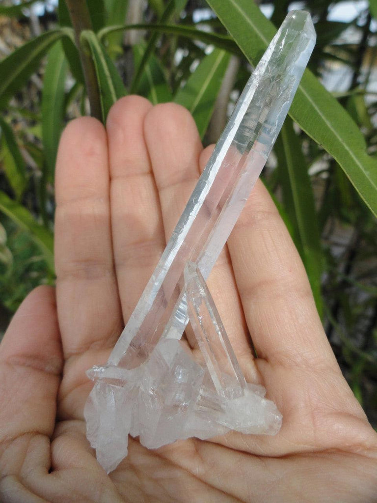 High Vibration Extra Clear CATHEDRAL QUARTZ CLUSTER From Brazil* - Earth Family Crystals