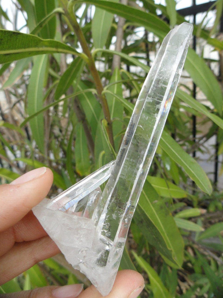 High Vibration Extra Clear CATHEDRAL QUARTZ CLUSTER From Brazil* - Earth Family Crystals
