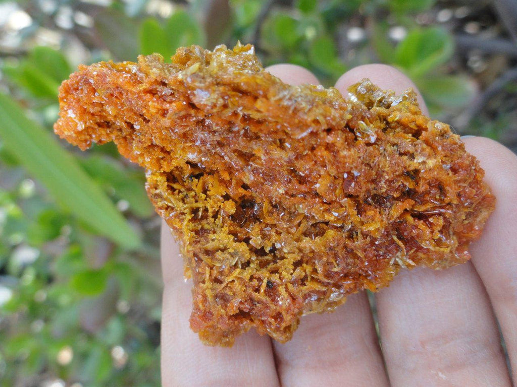 Bright Orange Wulfenite CLUSTER From Sonora. Mexico* - Earth Family Crystals