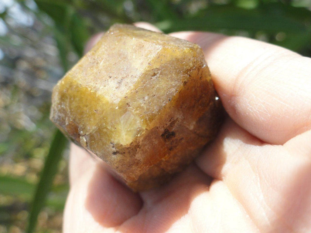 Unique Terminated VESUVIANITE Crystal From Mexico * - Earth Family Crystals