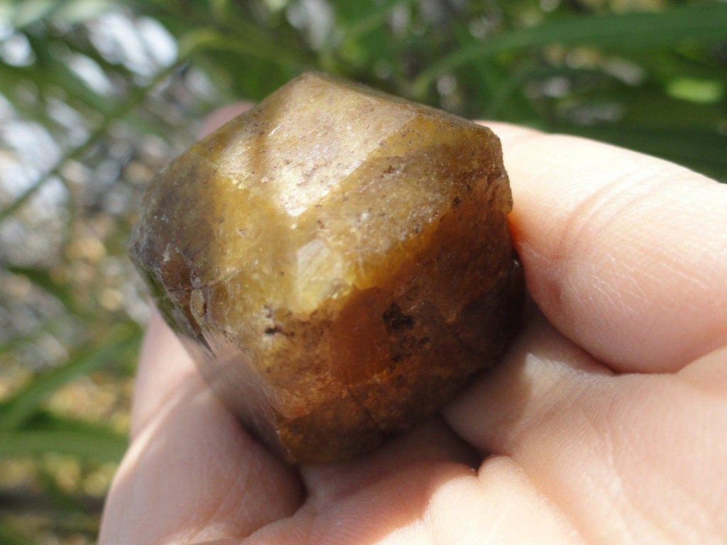 Unique Terminated VESUVIANITE Crystal From Mexico * - Earth Family Crystals