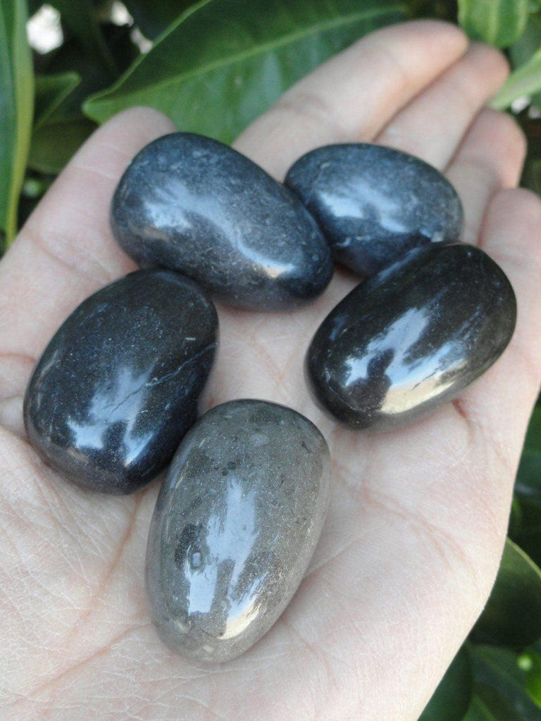 Amazing MASTER SHAMANITE STONE (Rare Black Calcite) (1) - Earth Family Crystals