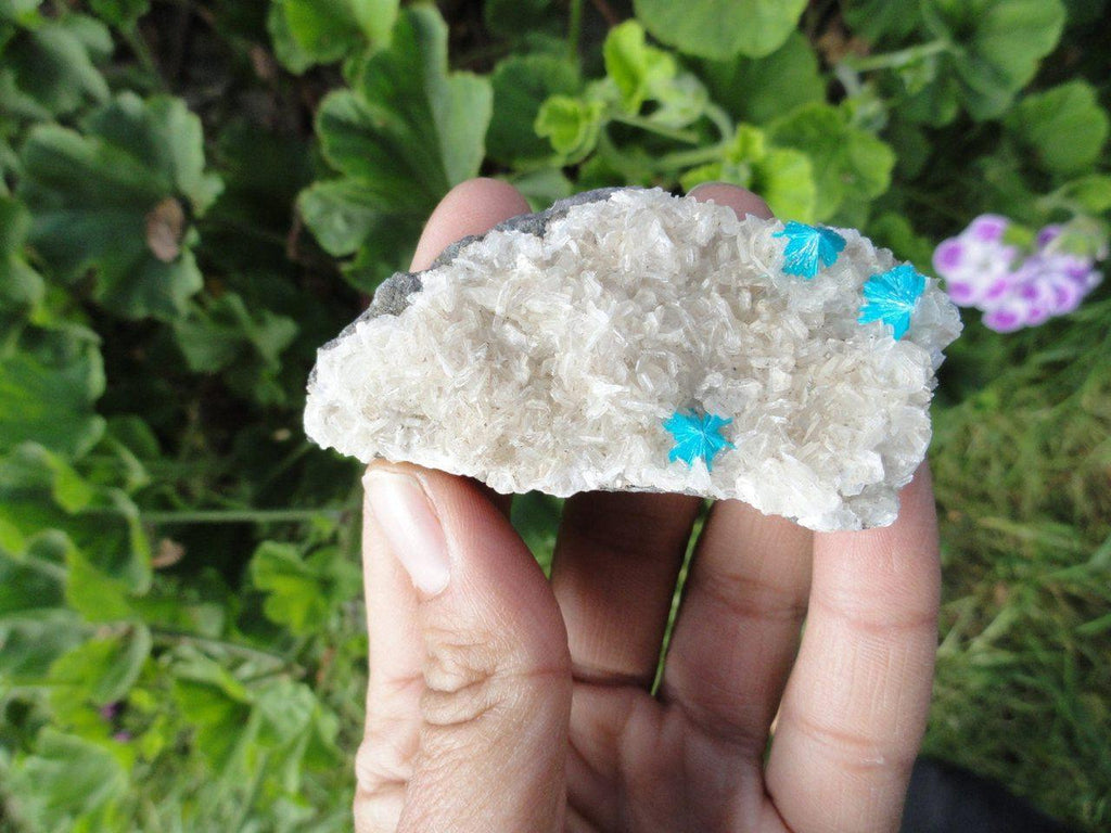 Electric Blue CAVANSITE Clusters On Matrix * - Earth Family Crystals