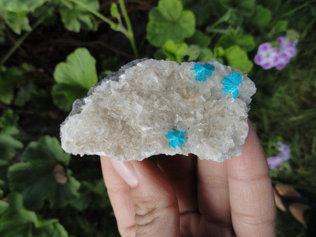 Electric Blue CAVANSITE Clusters On Matrix * - Earth Family Crystals