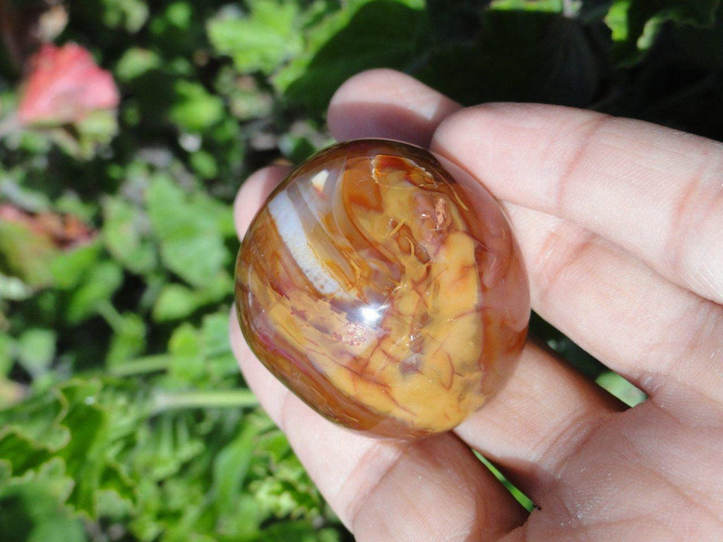 Firey orange CARNELIAN Palm stone * - Earth Family Crystals