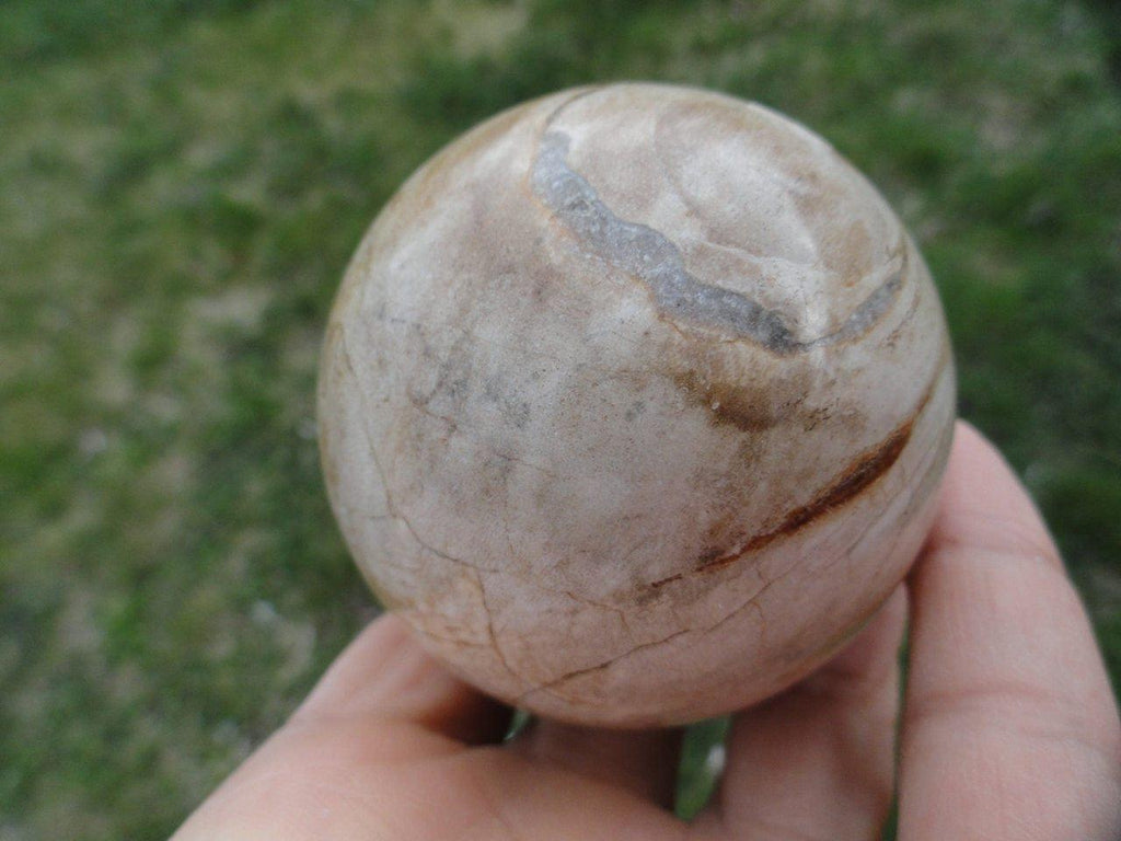 Tan PETRIFIED WOOD SPHERE* - Earth Family Crystals