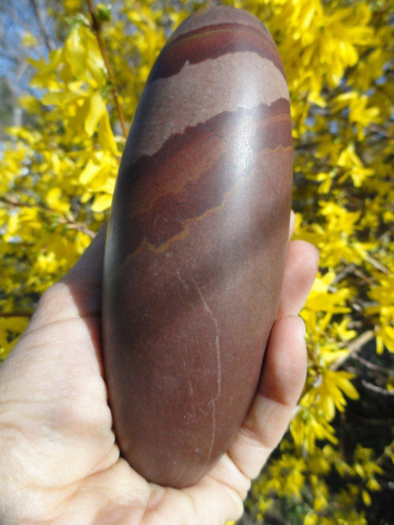 Large & Unique Sacred SHIVA LINGAM From India* - Earth Family Crystals
