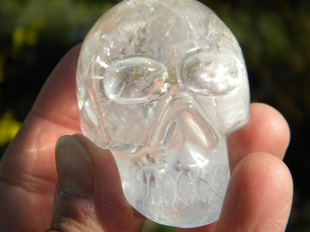 CLEAR QUARTZ Crystal Skull from Brazil* - Earth Family Crystals