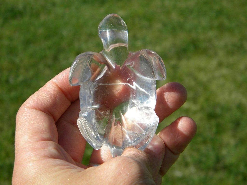 CLEAR QUARTZ TURTLE Carving From Brazil* - Earth Family Crystals