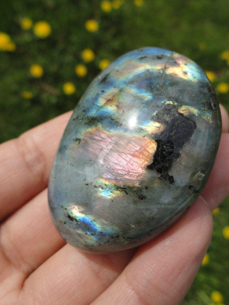 Super Rainbow Flash LABRADORITE Palm Stone* - Earth Family Crystals