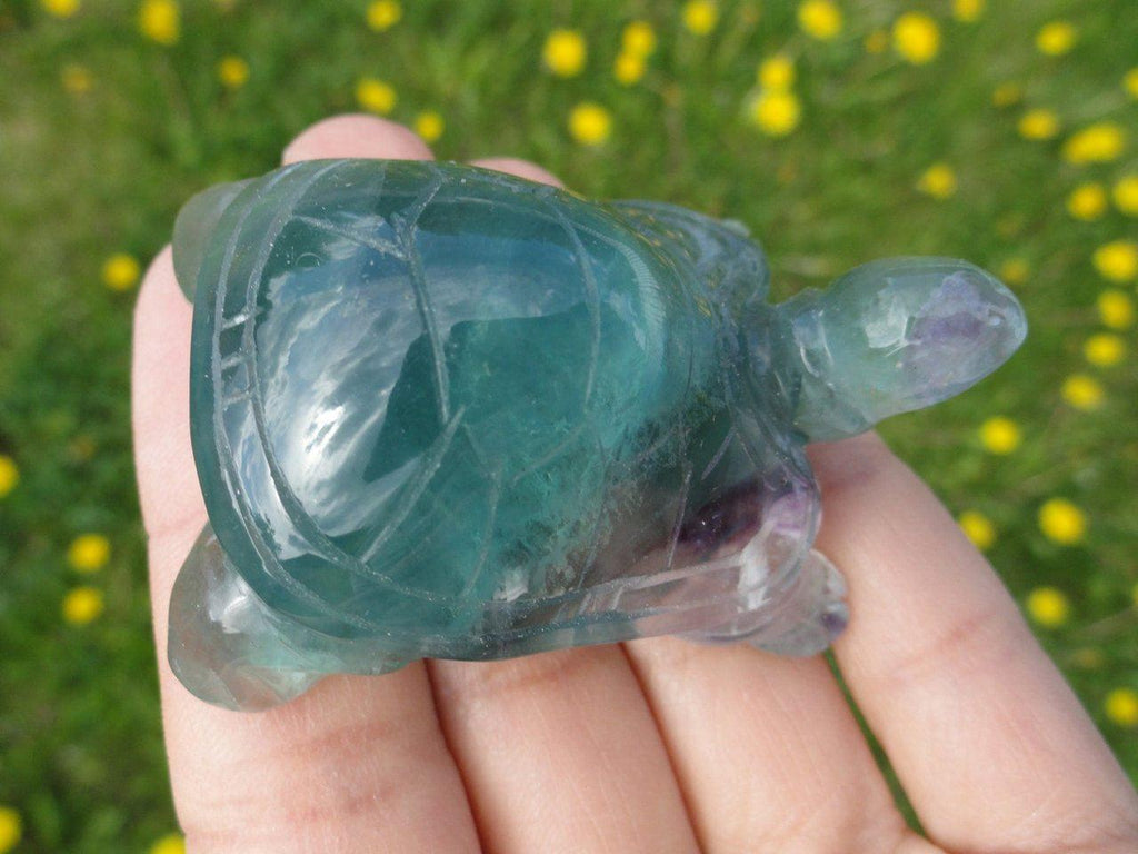Curious Green FLUORITE TURTLE ~ Stone of Stress Relief,Confidence,Peaceful Dreams* - Earth Family Crystals