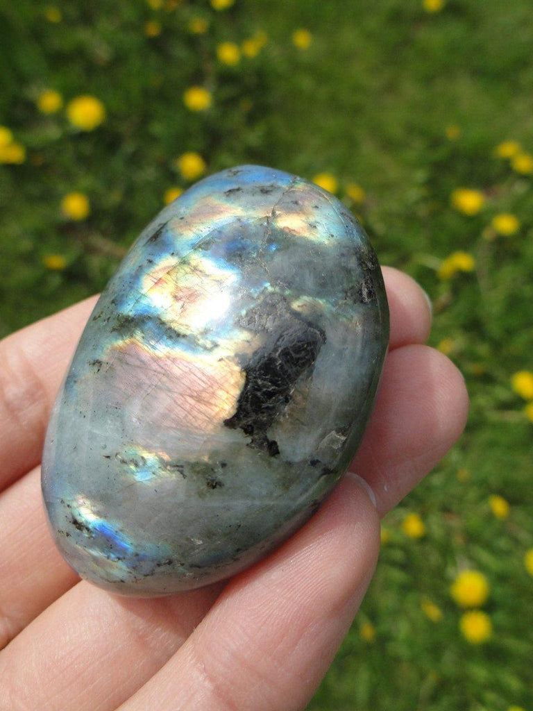 Super Rainbow Flash LABRADORITE Palm Stone* - Earth Family Crystals
