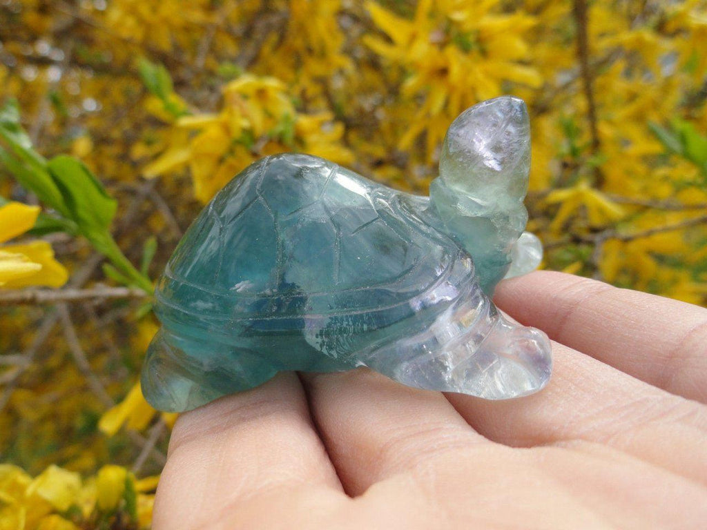 Curious Green FLUORITE TURTLE ~ Stone of Stress Relief,Confidence,Peaceful Dreams* - Earth Family Crystals