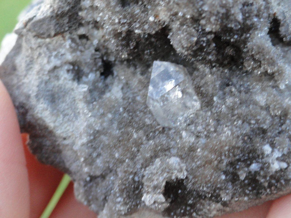 Sparkly New York HERKIMER DIAMOND On Glimmering Matrix - Earth Family Crystals