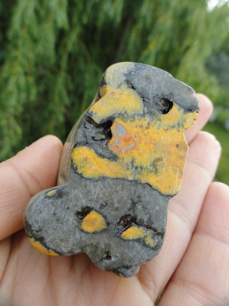 Perfect BUMBLE BEE JASPER Buddha~Eases Emotional Stress,Protects,Boosts Energy* - Earth Family Crystals