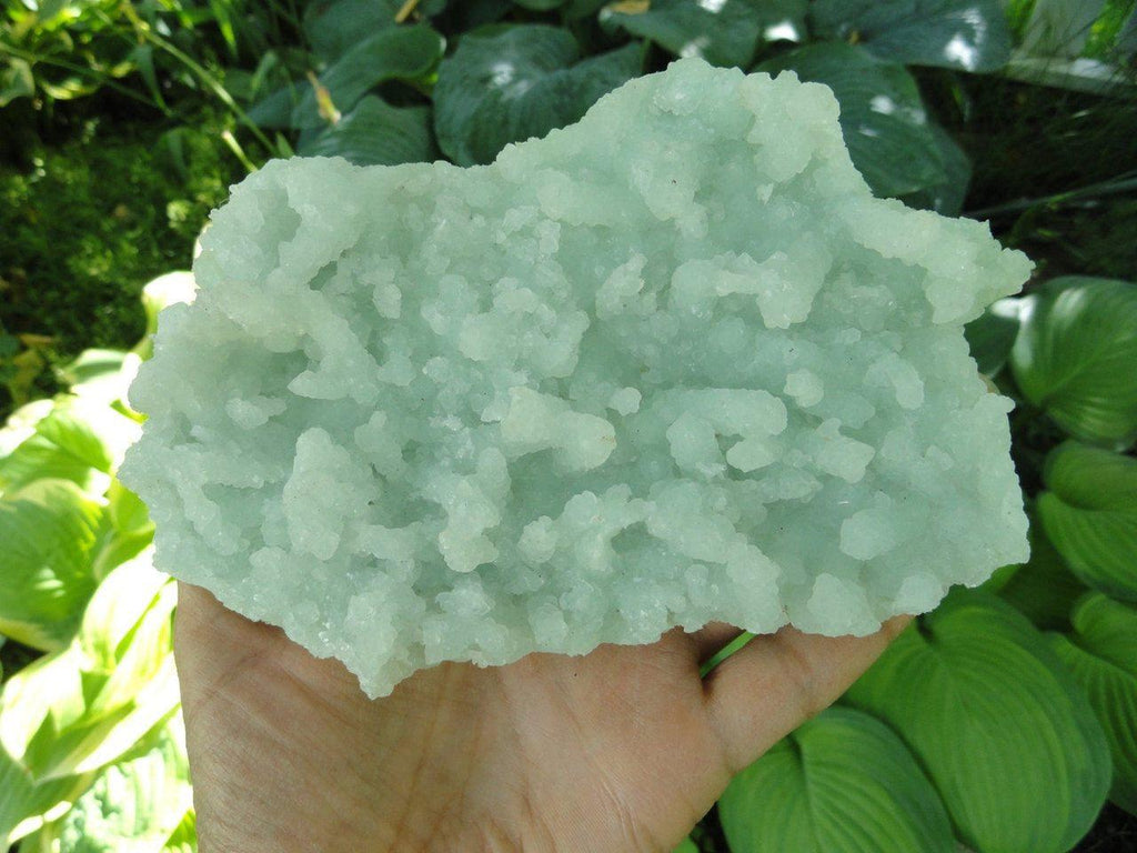 Gorgeous XL Mint Green PREHNITE DISPLAY Specimen* - Earth Family Crystals