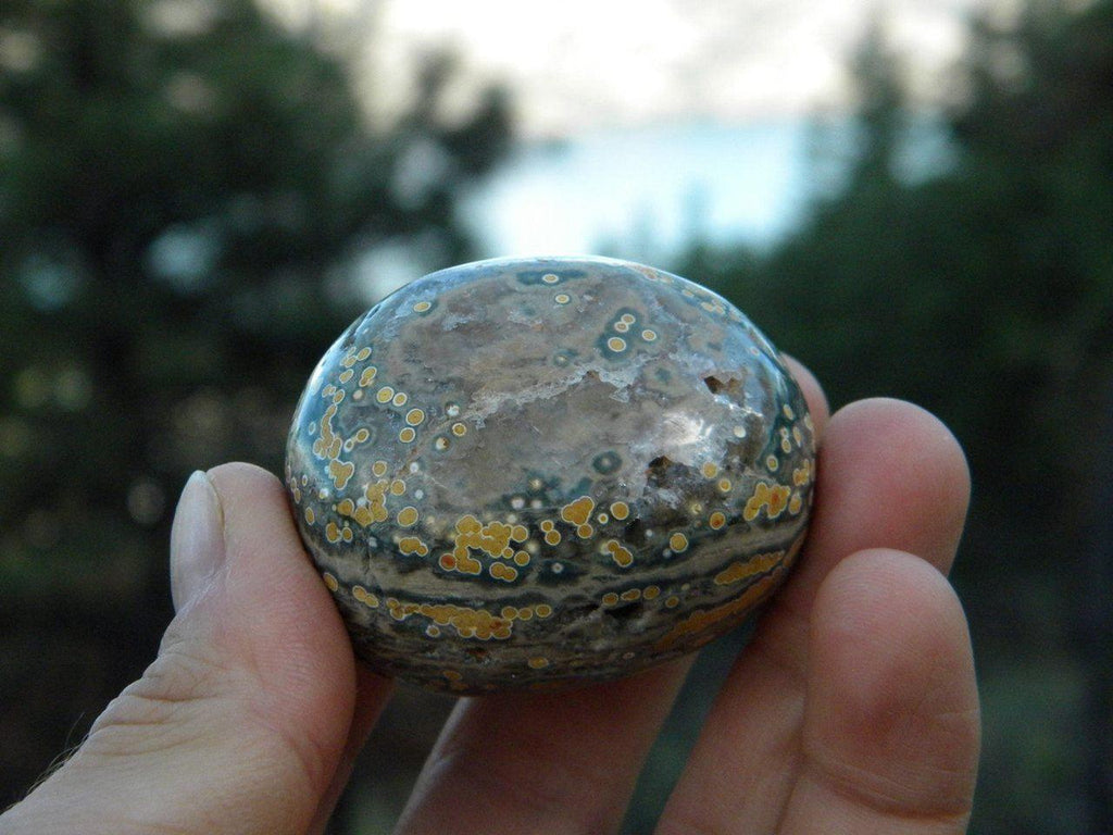 Orange Orb Loaded Unique OCEAN JASPER Specimen* Hippie Healing Magic Reiki meditation chakra - Earth Family Crystals