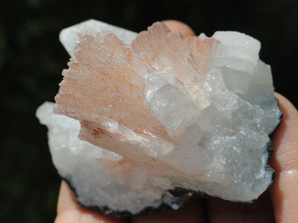 RESERVED For SHARON HORVATH Unique Pink Helendulite & Clear Apophylite Cluster* - Earth Family Crystals