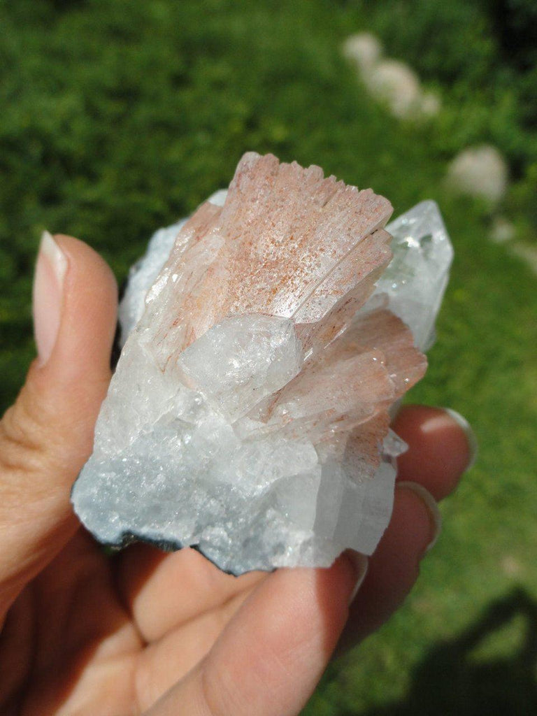 RESERVED For SHARON HORVATH Unique Pink Helendulite & Clear Apophylite Cluster* - Earth Family Crystals