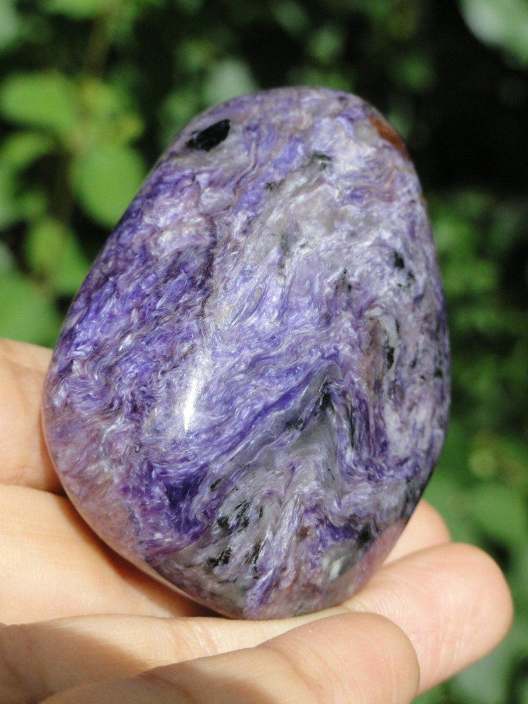 Striking Purple High Quality CHAROITE Specimen From Russia* - Earth Family Crystals