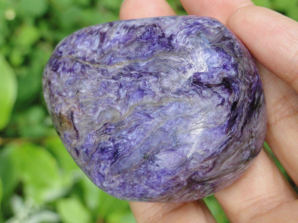 Striking Purple High Quality CHAROITE Specimen From Russia* - Earth Family Crystals
