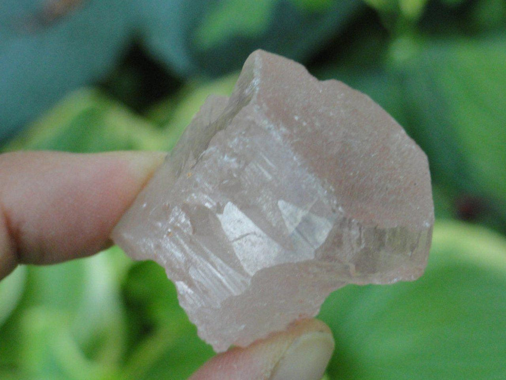 High Vibration NIRVANA QUARTZ Specimen Perfect for the Pocket* Aka Ice Quartz - Earth Family Crystals