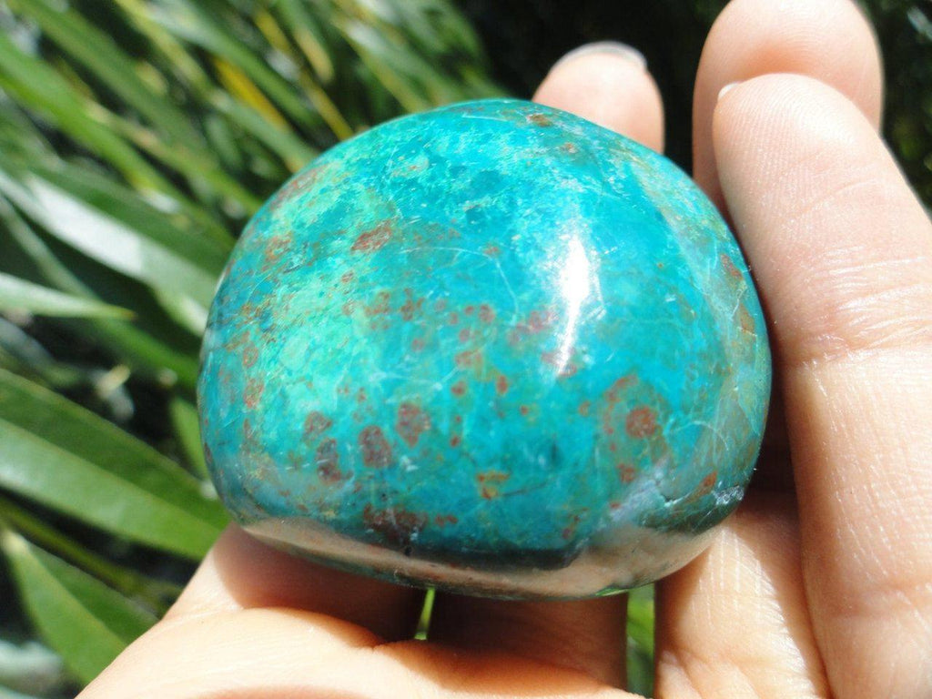 Chunky Blue CHRYSOCOLLA PALM STONE From Peru* - Earth Family Crystals