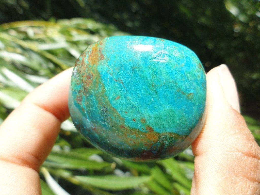 Chunky Blue CHRYSOCOLLA PALM STONE From Peru* - Earth Family Crystals