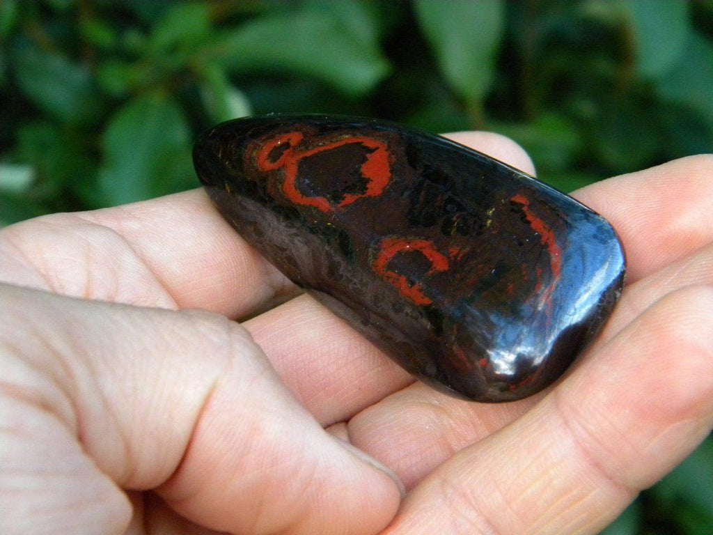 RESERVED For SHARON HORVATH Fabulous Patterns Tiger Iron Specimen From Australia* (Contains Hematite,Tiger Eye,Red Jasper) - Earth Family Crystals