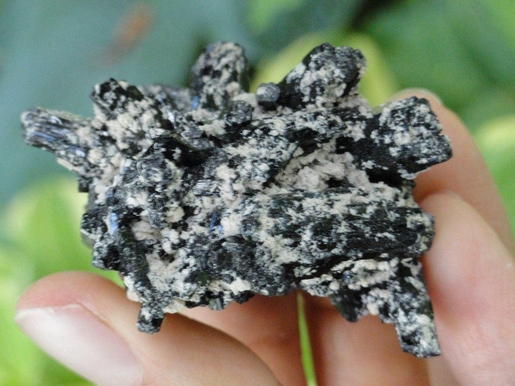 Intricate BLACK TOURMALINE & White Feldspar Cluster From Namibia* - Earth Family Crystals
