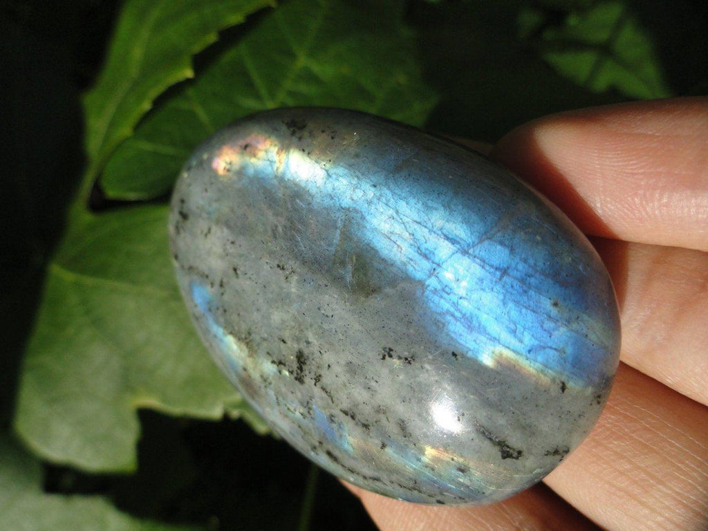 Colourful Rainbow Flash LABRADORITE PALM STONE~ Awakens Mystical Abilities, Protection, Self-Confidence* - Earth Family Crystals