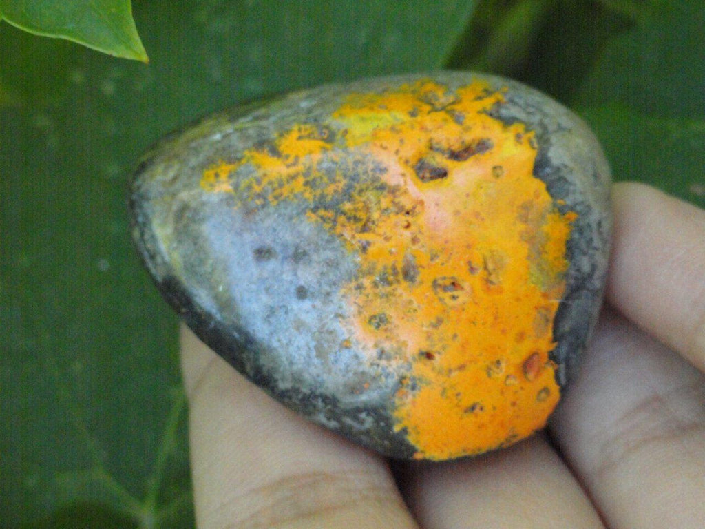 Vibrant BUMBLE BEE JASPER Palm Stone* - Earth Family Crystals