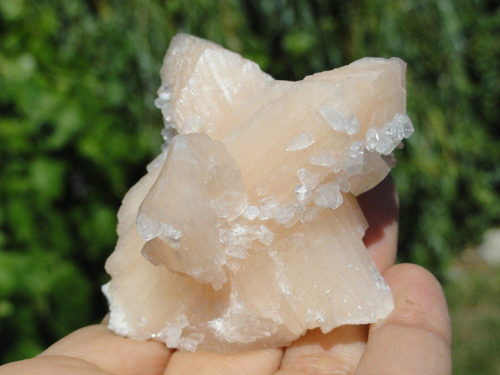 Sweet Pink STILBITE Cluster With Sprinkles of CLEAR APOPHYLLITE* - Earth Family Crystals