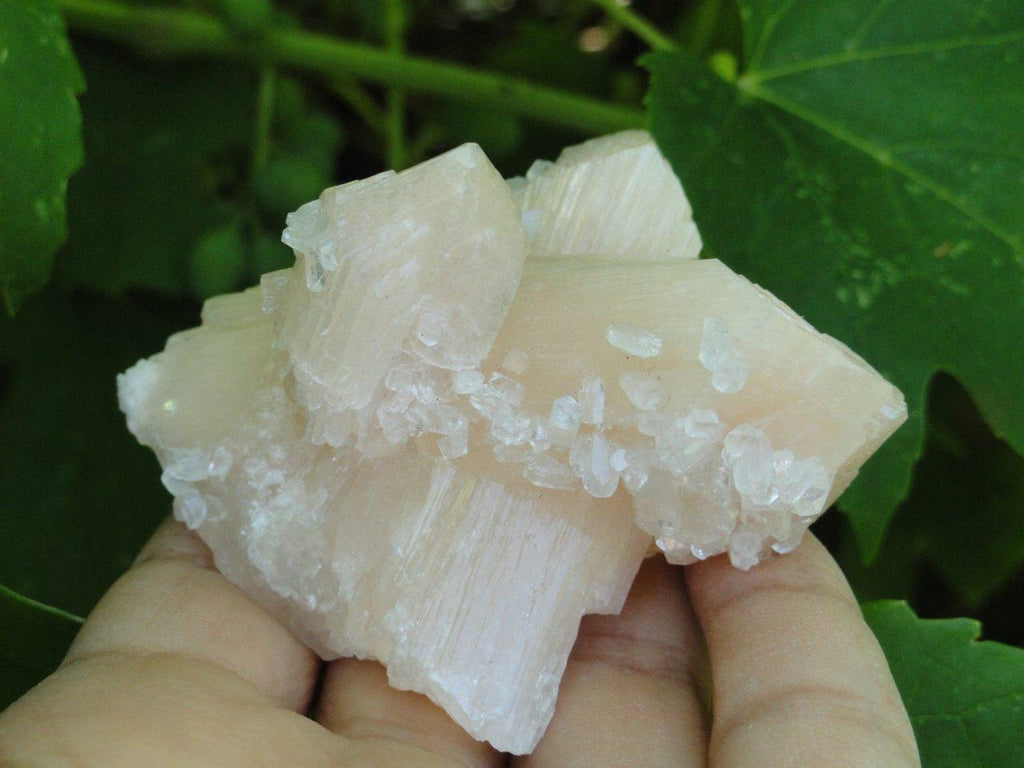 Sweet Pink STILBITE Cluster With Sprinkles of CLEAR APOPHYLLITE* - Earth Family Crystals
