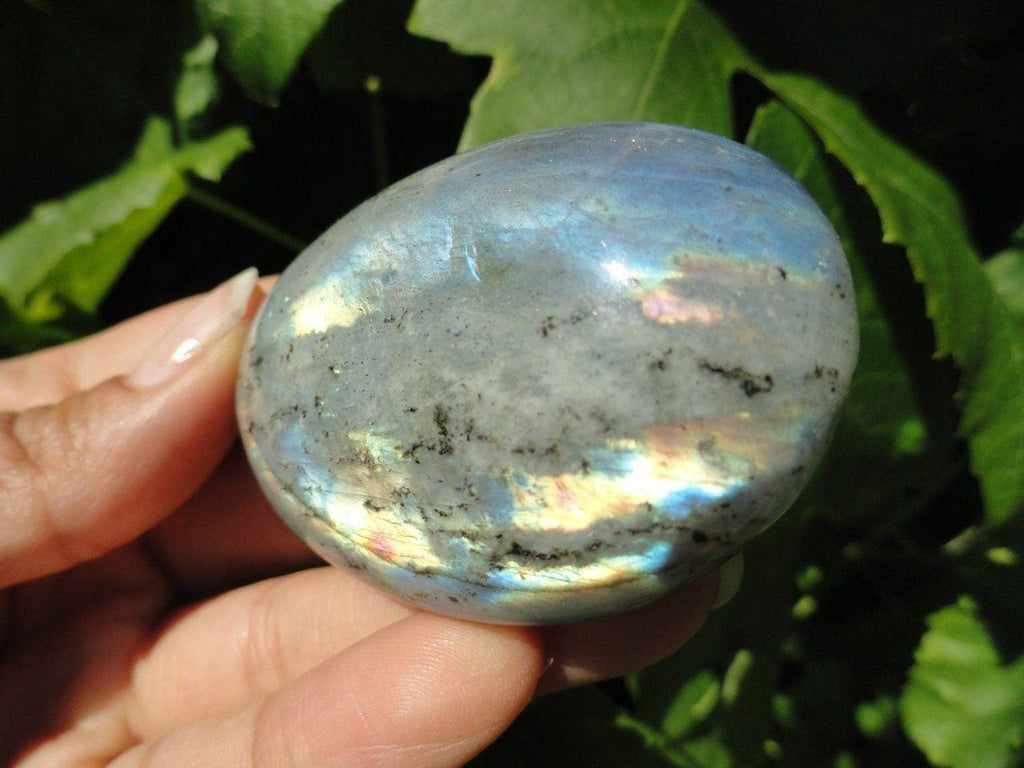 Colourful Rainbow Flash LABRADORITE PALM STONE~ Awakens Mystical Abilities, Protection, Self-Confidence* - Earth Family Crystals