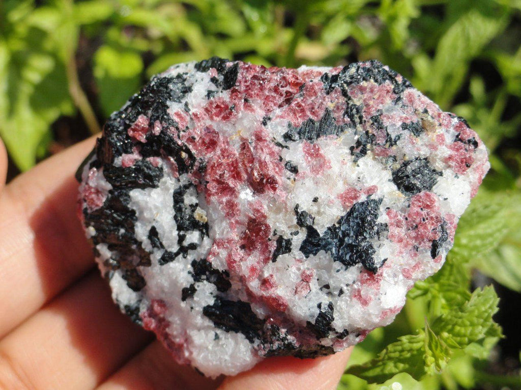 Chunky Raw  Raspberry EUDIALYTE in Quartz Matrix ~ Stone of Passion, purpose and fulfilment! - Earth Family Crystals
