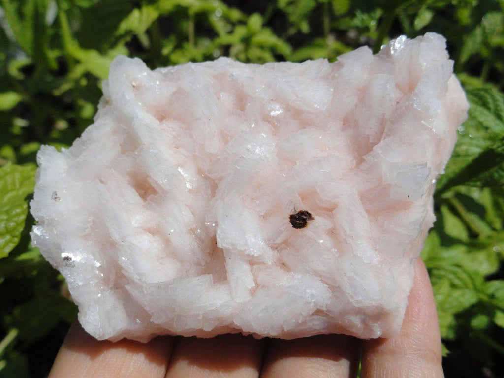 Sweet Vibes PINK DOLOMITE SPECIMEN* - Earth Family Crystals