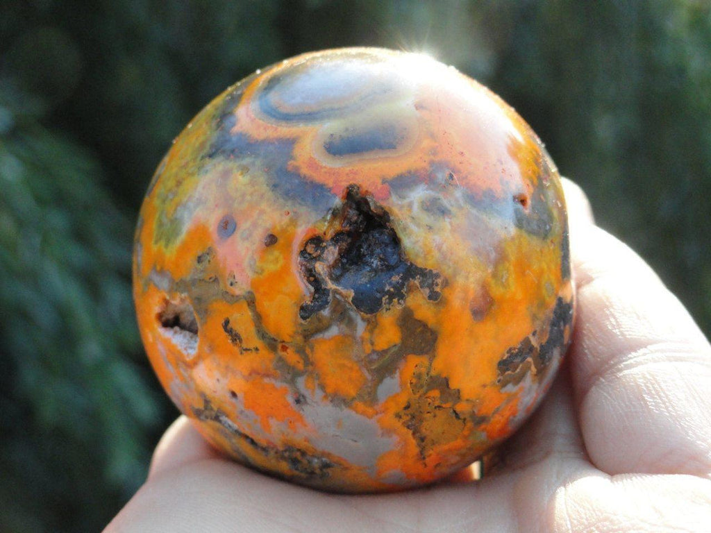Vibrant & Bold BUMBLE BEE JASPER Sphere with caves* - Earth Family Crystals