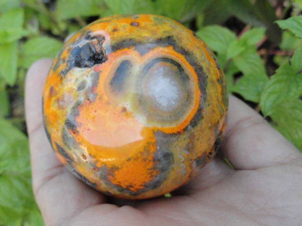 Vibrant & Bold BUMBLE BEE JASPER Sphere with caves* - Earth Family Crystals