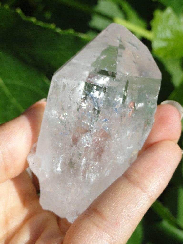 Beautiful Brazilian LEMURIAN SEED Point - Earth Family Crystals
