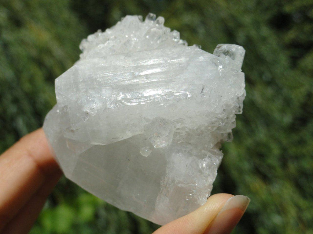 Stunning CLEAR APOPHYLLITE CLUSTER* - Earth Family Crystals