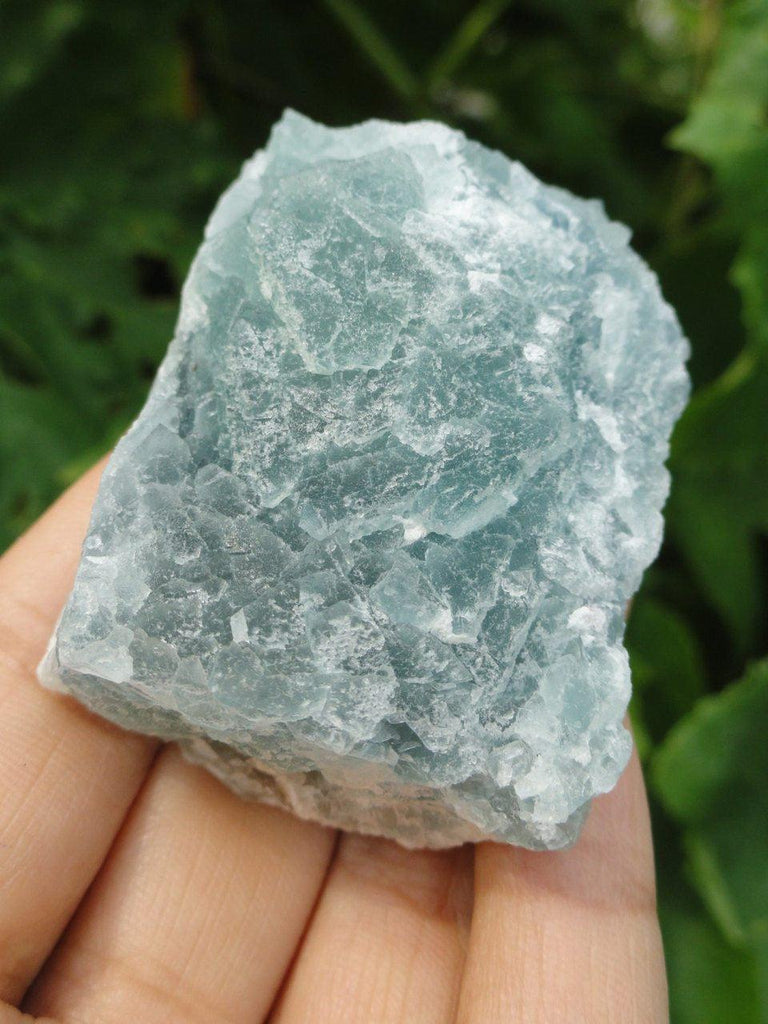 Hand Harvested Green FLUORITE SPECIMEN From BC, Canada* - Earth Family Crystals