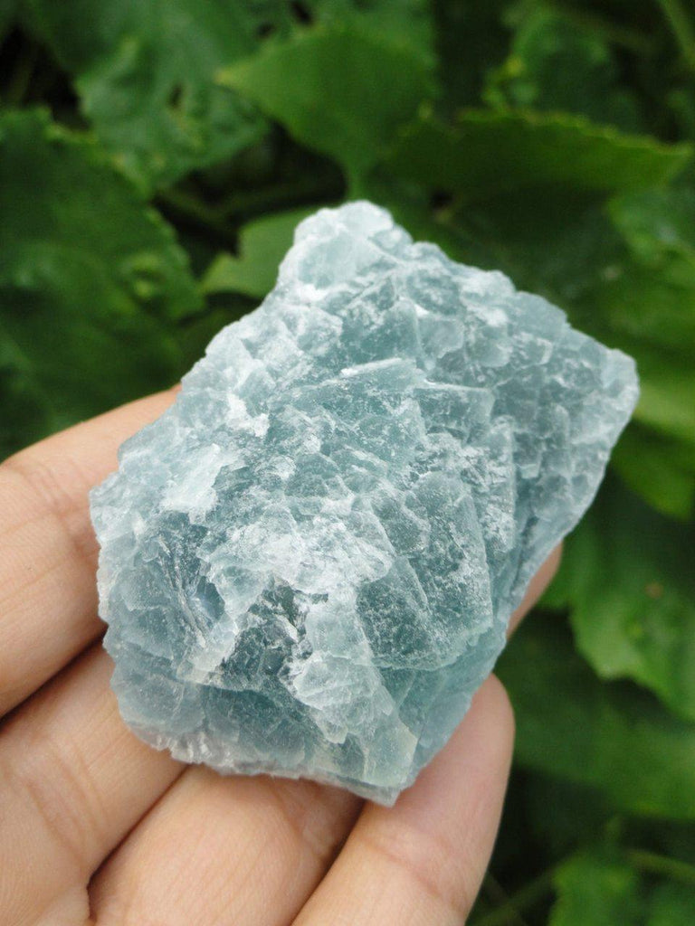 Hand Harvested Green FLUORITE SPECIMEN From BC, Canada* - Earth Family Crystals