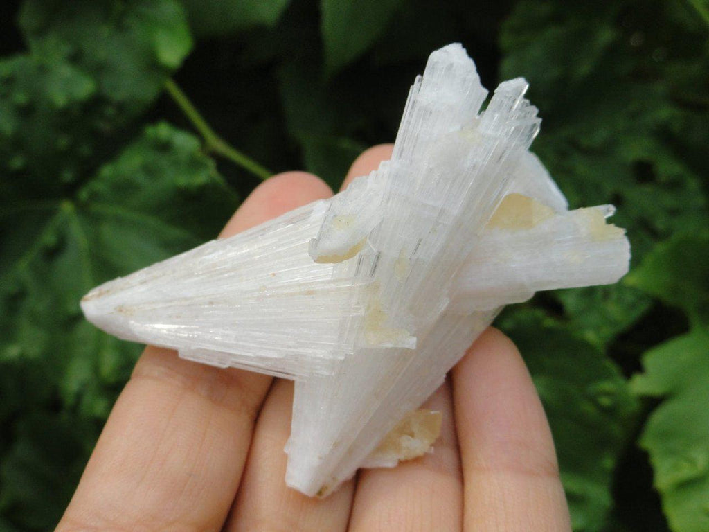Intricate White Light SCOLECITE FAN~ Stone of Inner Peace & Tranquillity* - Earth Family Crystals