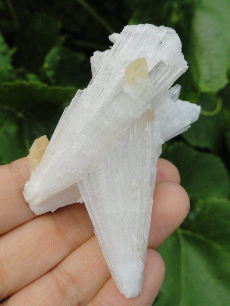 Intricate White Light SCOLECITE FAN~ Stone of Inner Peace & Tranquillity* - Earth Family Crystals