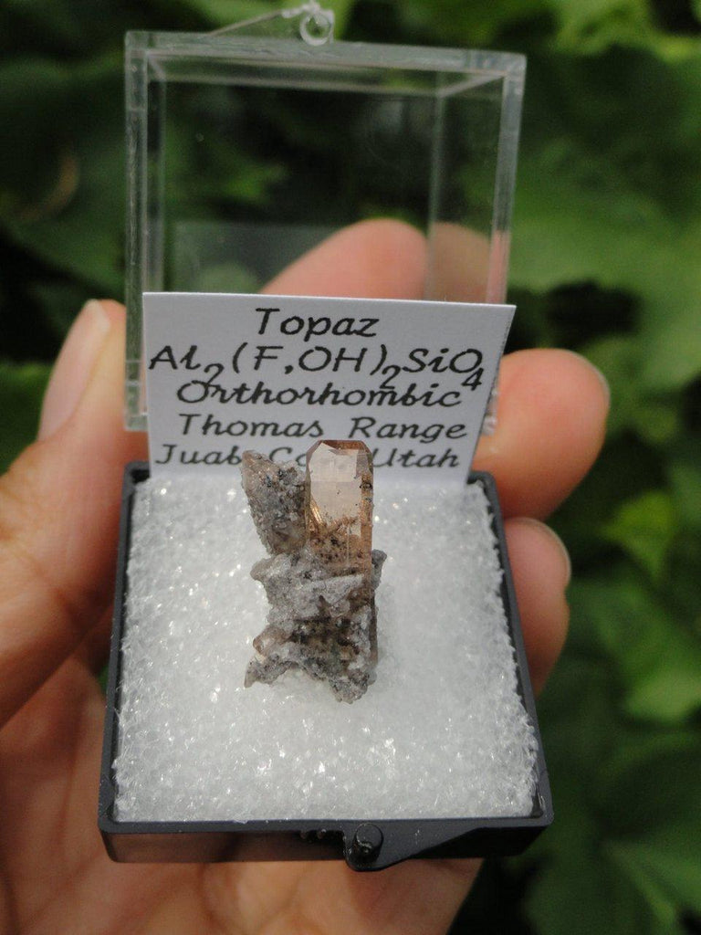 Amazing Clarity GOLDEN TOPAZ Collectors Specimen in Protective Case* - Earth Family Crystals