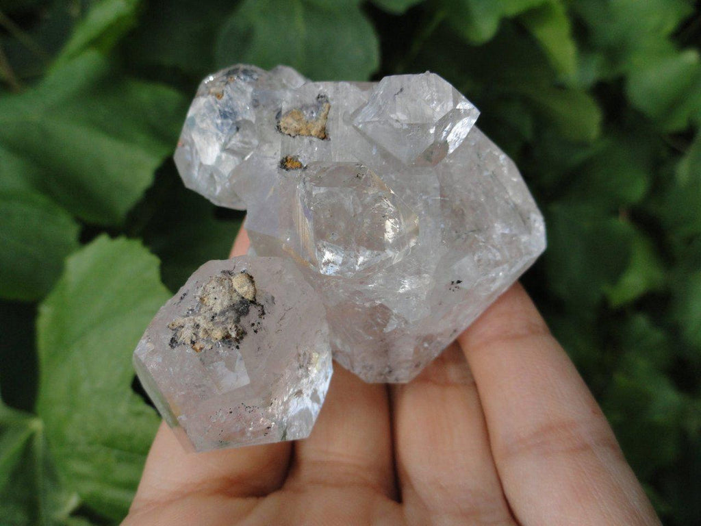 Gorgeous NY HERKIMER DIAMOND CLUSTER With Inter-grown Herks* - Earth Family Crystals