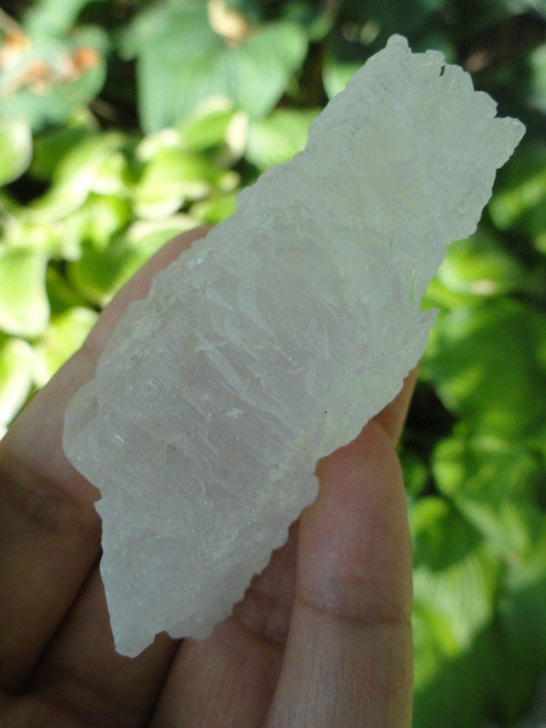 High Vibration CLEAR NIRVANA QUARTZ From the Himalayas* Aka Ice Quartz~ Synergy 12 Stone - Earth Family Crystals